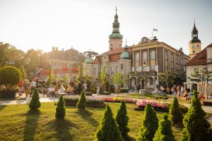 Daisy Days 2026 - Miasto Opowieści i Dźwięku
